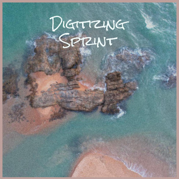 Various Artists - Digitizing Sprint