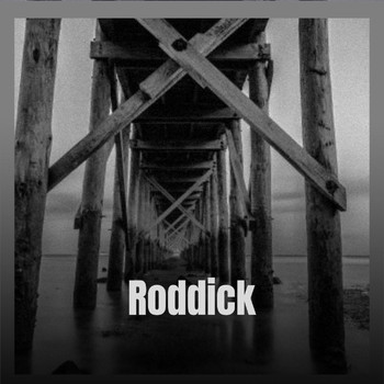 Various Artists - Roddick