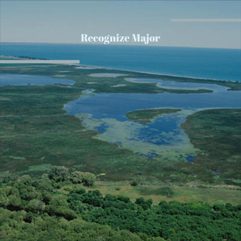 Various Artists - Recognize Major