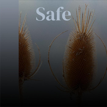 Various Artists - Safe
