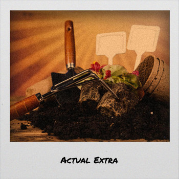 Various Artists - Actual Extra