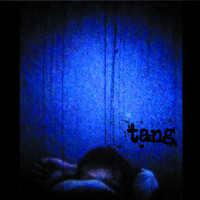 Tang - This Quietness Booms About on the Walls Like Birds in Panic
