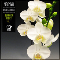 Dave Harrigan - Summer Vibes, Vol. 1 (Summer Vibes Edit)