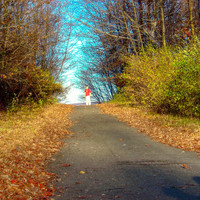 Shaw - Autumn
