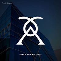 Tech Riizmo - Beach EDM Nuggets