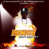 Brandish - What's Going On