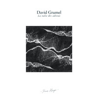 David Grumel - La valse des adieux