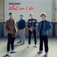 Organix - What Can I Do (single)