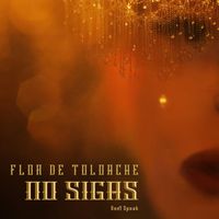 Flor De Toloache - No Sigas (Don't Speak)