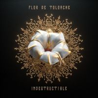 Flor de Toloache - Indestructible