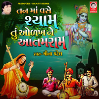Meena Patel - Tan Ma Vase Shyam Tu Odakh Ne Aatam Ram