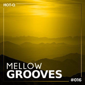 Various Artists - Mellow Grooves 016