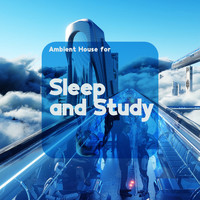 Dj Daydream - Ambient House for Sleep and Study: Atmospheric Ambient Chill Out, Chill Ambient Bedtime, Easy Study Music Chillout, Ambient Evening Chill Out