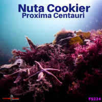 Nuta Cookier - Proxima Centauri