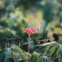 Daytime Owl - My Kinda Sunrise - Solo in the Morning