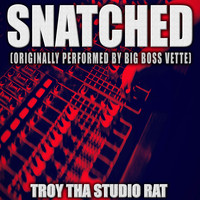 Troy Tha Studio Rat - Snatched (Originally Performed by Big Boss Vette) (Karaoke [Explicit])