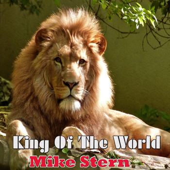 Mike Stern - King Of The World