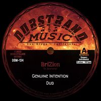 Brizion - Genuine Intention