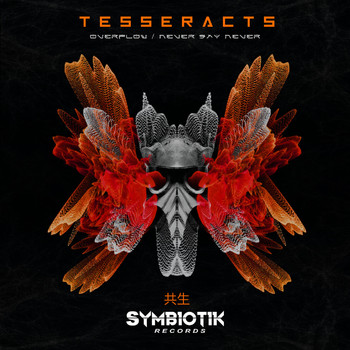 TESSERACTS - Overflow / Never Say Never