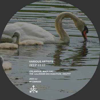 Various Artists - Deep Cutz