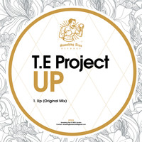 T.E Project - Up