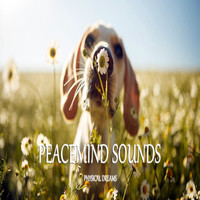 Physical Dreams - Peacemind Sounds