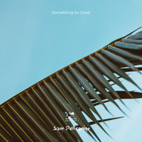 Sam Pellegrino - Something So Good