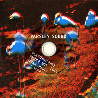 Parsley Sound - Platonic Rate