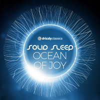 Solid Sleep - Ocean of Joy