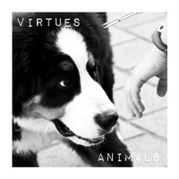 Virtues - Animals