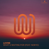 Luvine featuring Nokyo - What U Waiting For