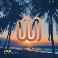 Colin - Palm Trees