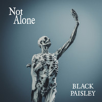 Black Paisley - Not Alone