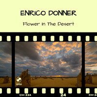 Enrico Donner - Flower in the Desert