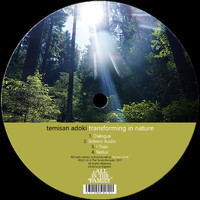 Temisan Adoki - Transforming In Nature
