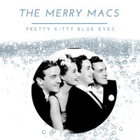 The Merry Macs - Pretty Kitty Blue Eyes