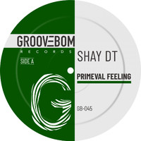 Shay DT - Primeval Feeling