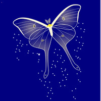 Litany - Butterflies