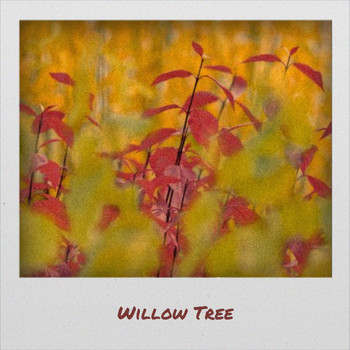 Various Artist - Willow Tree