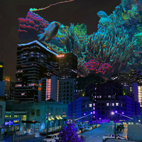 Raynor - Aquatic Underground