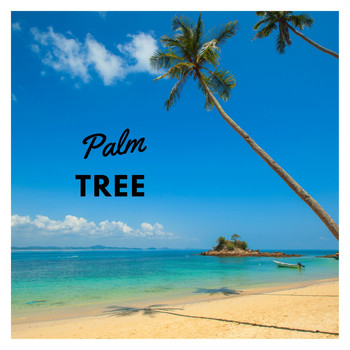 Various Artists - Palm Tree