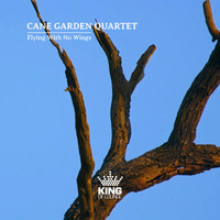 Cane Garden Quartet - Flying with no Wings