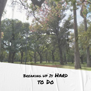 Various Artist - Breaking Up Is Hard to Do