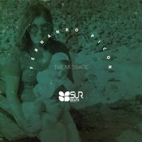 Fernando Picon - The Message