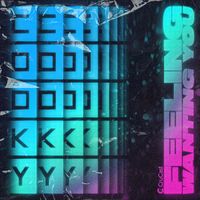 Cooky - Feeling / Wanting You