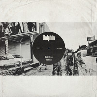 Dolphin - Basic Life / Snakes