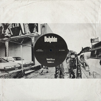 Dolphin - Basic Life / Snakes