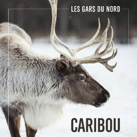 Les Gars Du Nord - Caribou