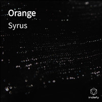 Syrus - Orange