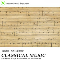 Nature Sound Emporium - Chopin - Winter Wind